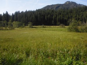 Wendelstein 2009 209